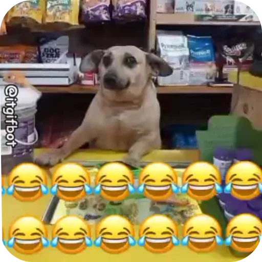 Telegram stiker 👍 😂