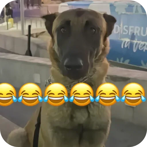 Telegram stiker 👍 😂