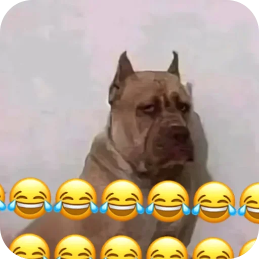 Telegram stiker 👍 😂