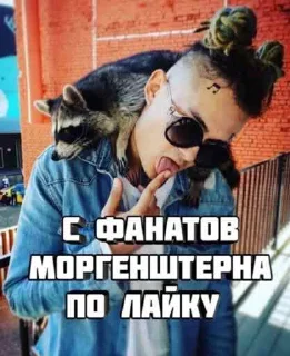 Video sticker 🦝 Инвалид 4life