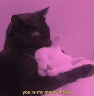 Telegram sticker 🤗 V0ID'S Stickers XI