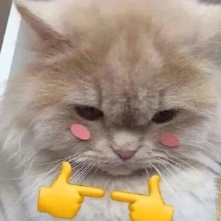 Telegram sticker 🥺 V0ID'S Stickers XI