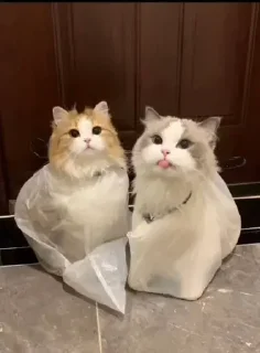 Sticker 😛 V0ID'S Stickers XI