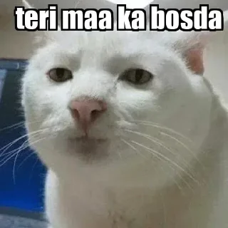 Telegram stiker 😎 @BTC_pLaneT 🚀