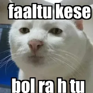 Telegram stiker 😒 @BTC_pLaneT 🚀