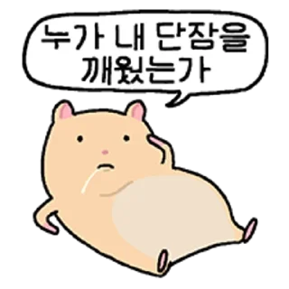 Telegram sticker 😀 다소 거친 햄스터