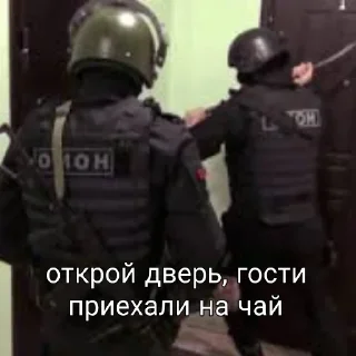 Video sticker 😱 Доксеры KNZ