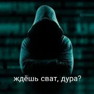 Video sticker 😂 Доксеры KNZ