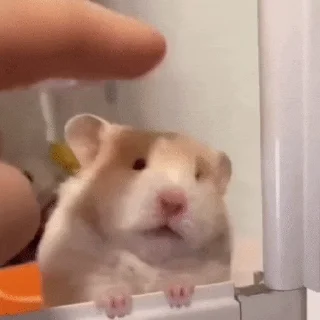 Video sticker 👺 Больше стиков тут: @stikery4