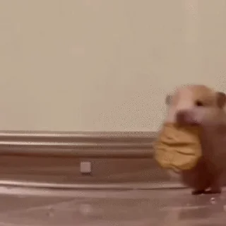 Video sticker 😋 Больше стиков тут: @stikery4