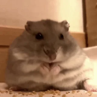 Video sticker 😗 Больше стиков тут: @stikery4