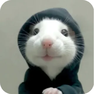 Sticker 🐱 Gary and friends