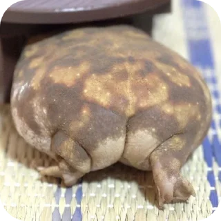 Video sticker 🍲 Gary and friends