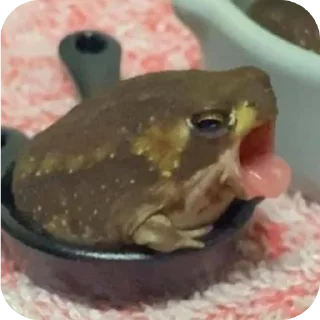 Video sticker 🐦 Gary and friends