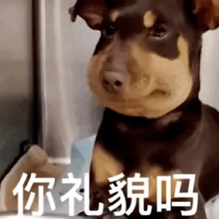 Телеграм стикер 🤕 龙猫出海 @Totorogroup