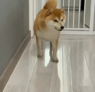 Телеграм стикер 😆 龙猫出海 @Totorogroup