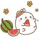 Sticker 😀 Molang