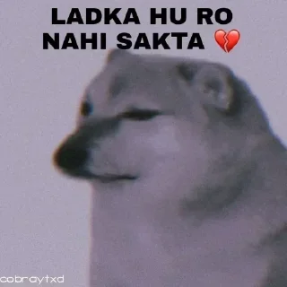 Video sticker 😞 🐕ᴅᴏɢ ᴍᴇᴍᴇ[9] @punithgowdastickersin 🈴🌍(ℙႮℕⅈᝨ
