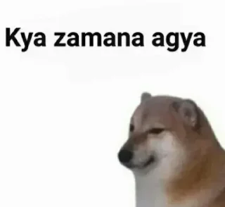 Телеграм стикер 🥲 🐕ᴅᴏɢ ᴍᴇᴍᴇ[9] @punithgowdastickersin 🈴🌍(ℙႮℕⅈᝨ