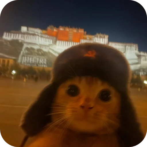 Sticker 🐱 @Iraqi_69 5 ملصقاتي الخارقة للطبيعة