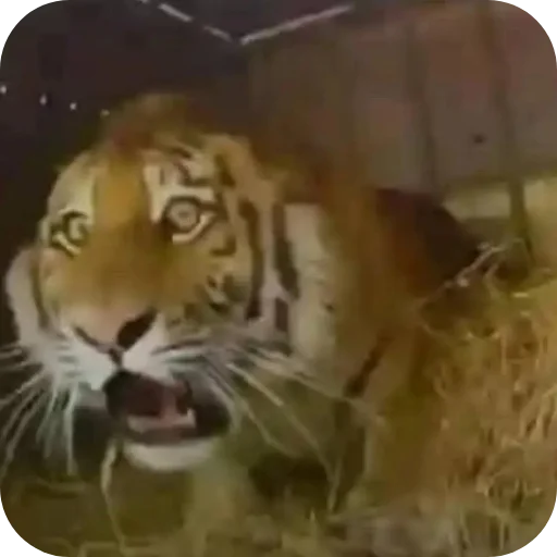 Telegram sticker 🫠 @Iraqi_69 5 ملصقاتي الخارقة للطبيعة