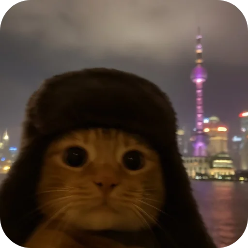 Telegram sticker 🐱 @Iraqi_69 5 ملصقاتي الخارقة للطبيعة