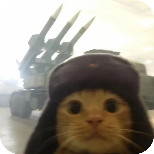 Telegram sticker 🐱 @Iraqi_69 5 ملصقاتي الخارقة للطبيعة