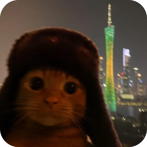 Telegram sticker 🐱 @Iraqi_69 5 ملصقاتي الخارقة للطبيعة