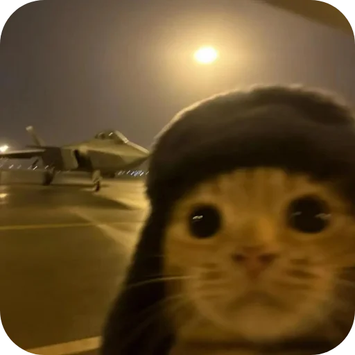 Telegram sticker 🐱 @Iraqi_69 5 ملصقاتي الخارقة للطبيعة