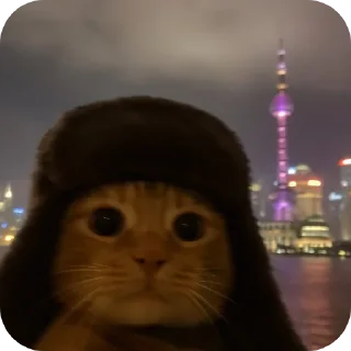 Video sticker 🐱 @Iraqi_69 5 ملصقاتي الخارقة للطبيعة