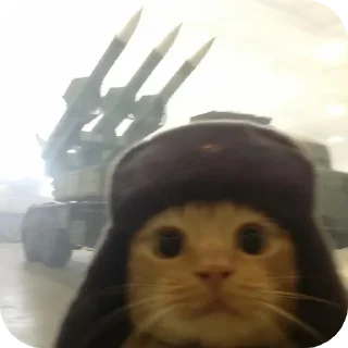 Video sticker 🐱 @Iraqi_69 5 ملصقاتي الخارقة للطبيعة