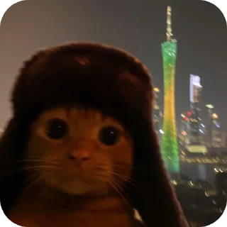 Video sticker 🐱 @Iraqi_69 5 ملصقاتي الخارقة للطبيعة