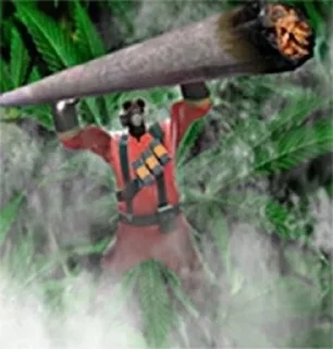 Video sticker 🌿 Weed Cult