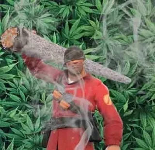 Video sticker 🌿 Weed Cult