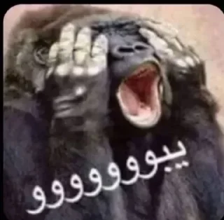 Telegram stiker 😔 ملصقاتي الخارقة للطبيعة @kdn9e