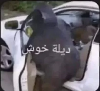 Video sticker 🦍 ملصقاتي الخارقة للطبيعة @kdn9e