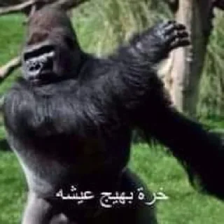 Telegram stiker 😡 ملصقاتي الخارقة للطبيعة @kdn9e