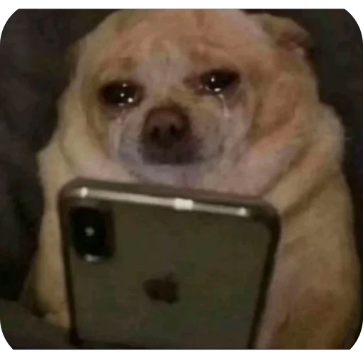 Sticker 🫥 Chxpo owns you