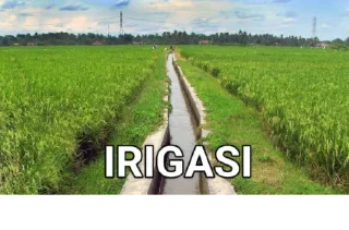 Video sticker 😒 receh by Poωer