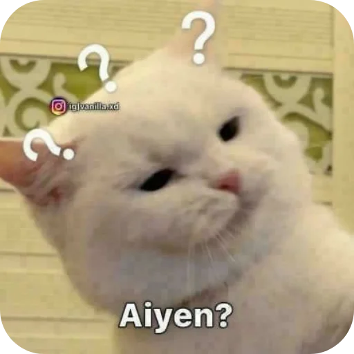 Telegram sticker 🐱 @memegasm07