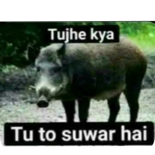 Telegram sticker 🖼 @memegasm07