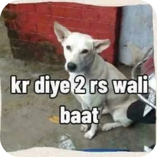 Telegram sticker 🐶 @memegasm07