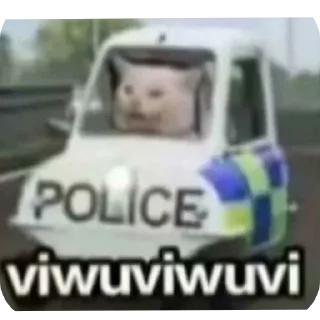 Video sticker 🚗 @memegasm07