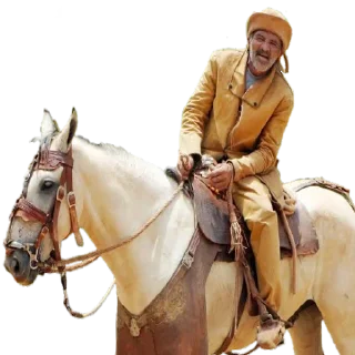 Telegram stiker 🐎 𝗦𝗵𝗶𝘁 𝗗𝘂𝗺𝗽 𝟯.𝟬 @ViciadoEmDrogas