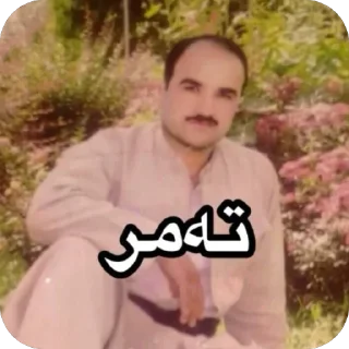 Telegram sticker 😒 مامۆستا سەردەشتی | یەک