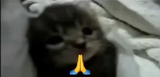 Video sticker 🙏 Ia