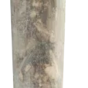 Video sticker 💙 BIG ASS JOINT