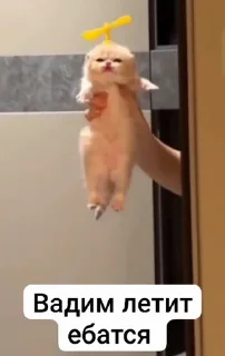 Video sticker 🌟 Аутизм он такой :: @fStikBot