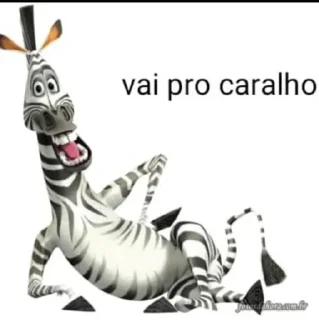 Video sticker 🦓 mama minha pika