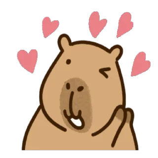 Video sticker 😉 Kapi (@TodorokiShouto)